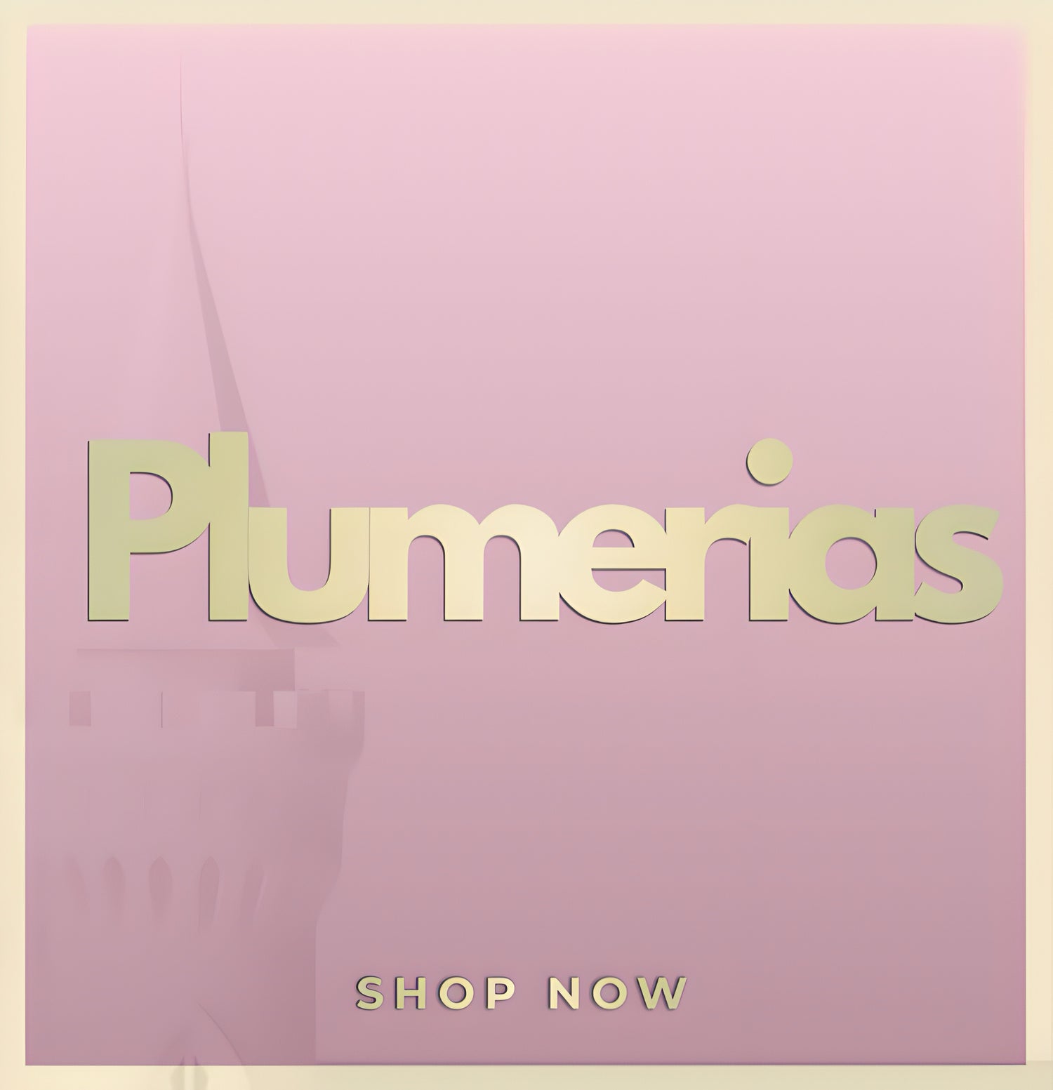 Plumerias