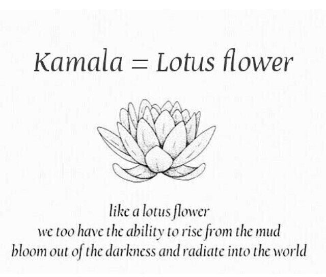 Kamala🪷